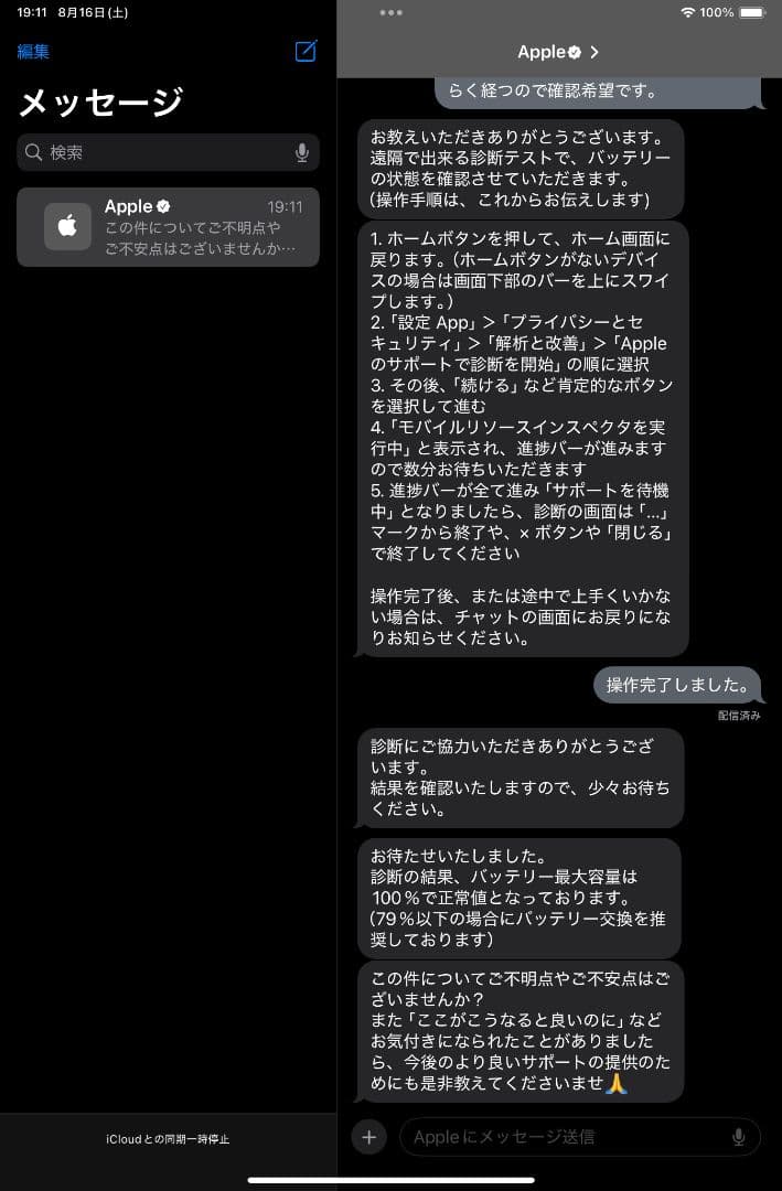 ipad mini 第6世代 256GB バッテリー100% パーブル