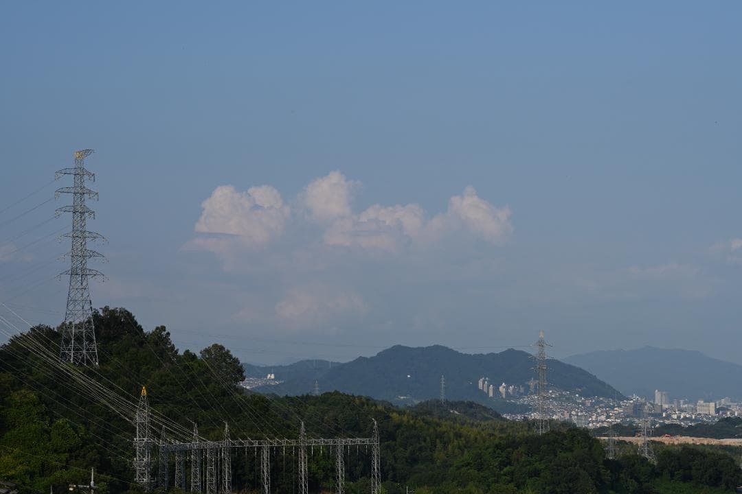レンズ(単焦点) Nikon AF MICRO NIKKOR 105mm F2.8D