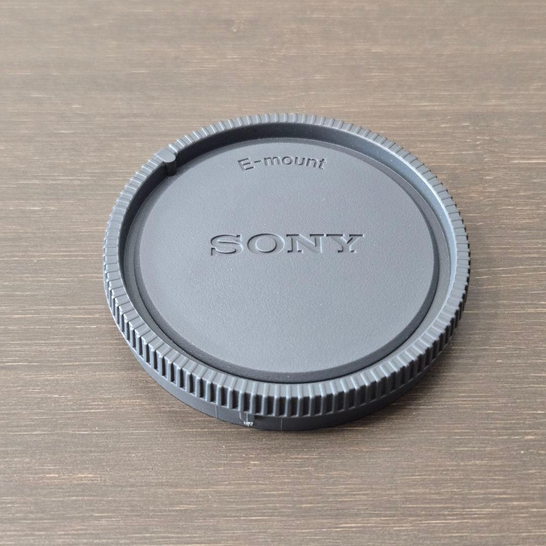 SONY SEL24105G レンズ フィルターつき