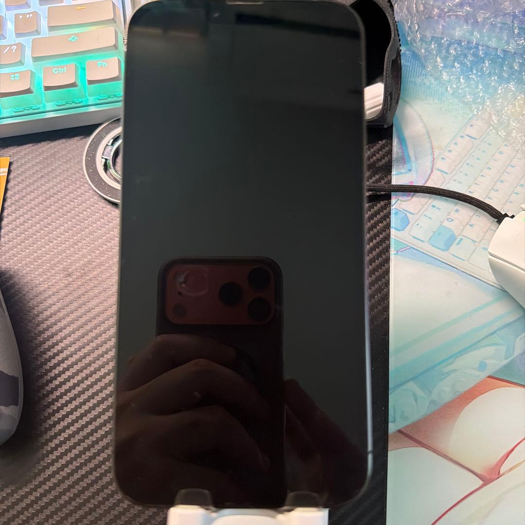 Apple iPhone 13 Pro Maxグラファイト 256GB