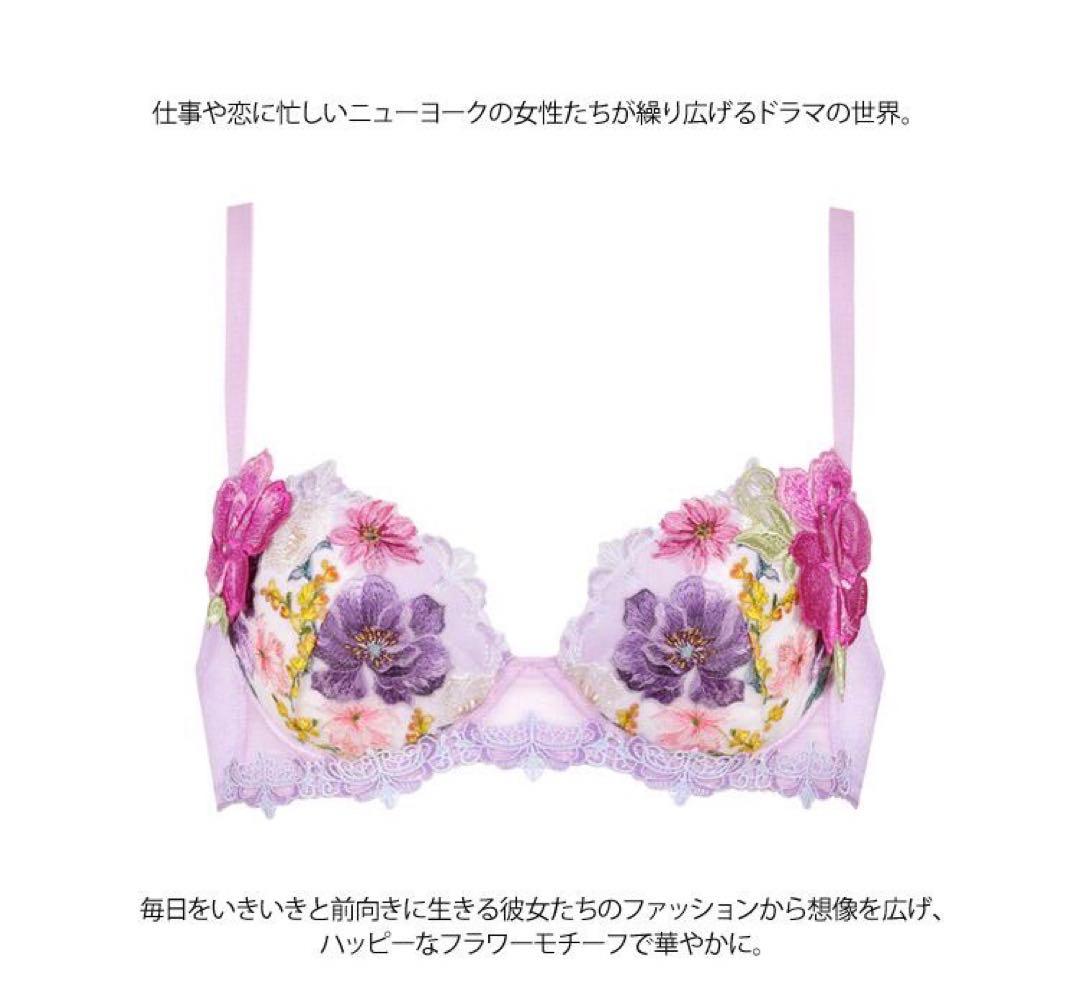 【サルート】♡希少H65 プッシュアップブラ　ショーツセット93Gニューヨーク