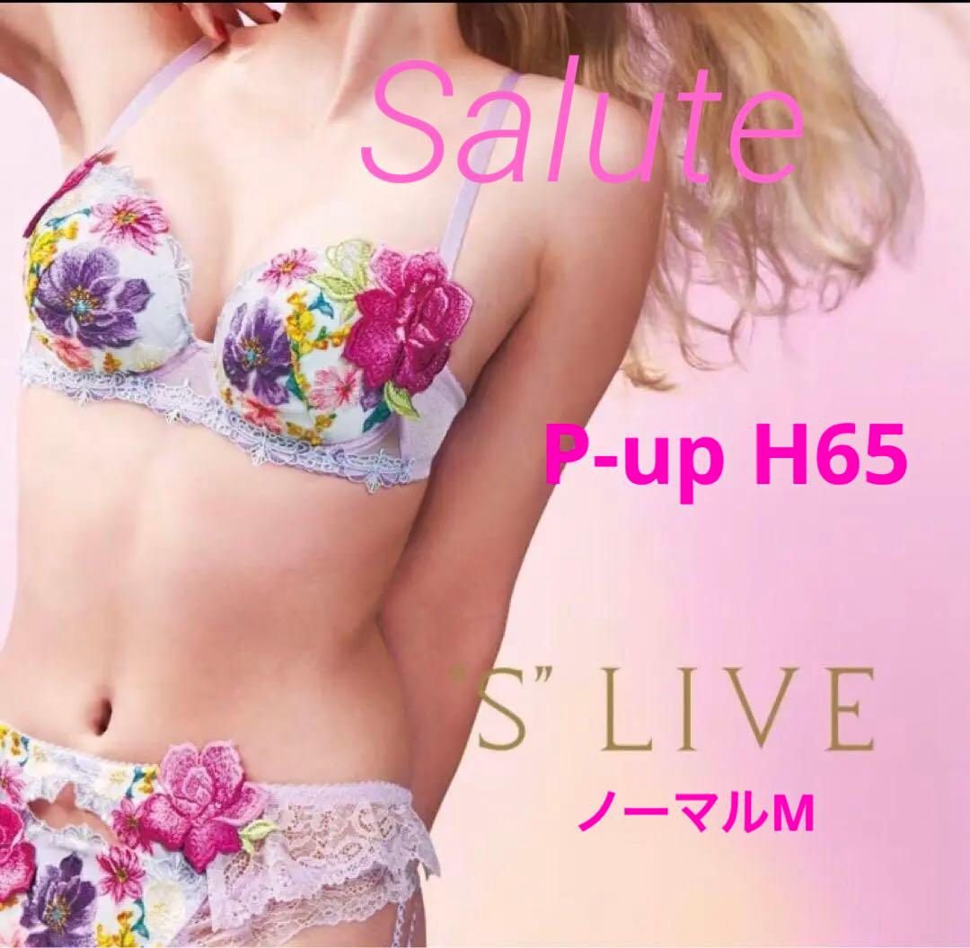 【サルート】♡希少H65 プッシュアップブラ　ショーツセット93Gニューヨーク