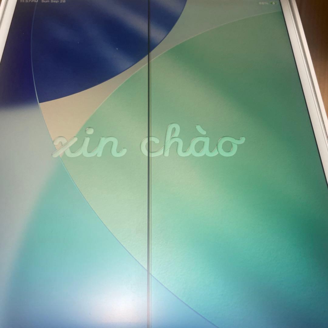 （ジャンク品）iPad Air（第3世代） （Wi-Fi+Cellular）