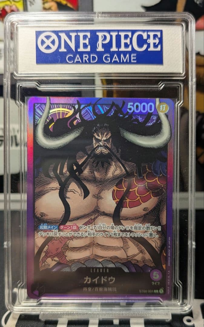 カイドウ （リーダー）美品