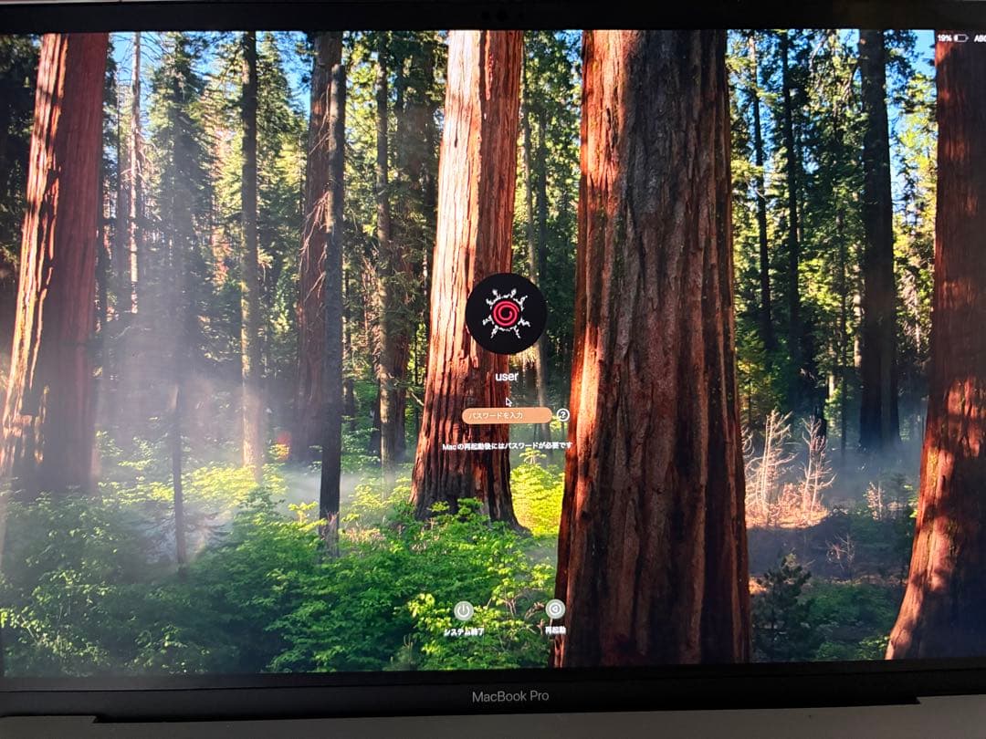 【48時間限定値下げ！】MacBook Pro 16インチ 2019年モデル