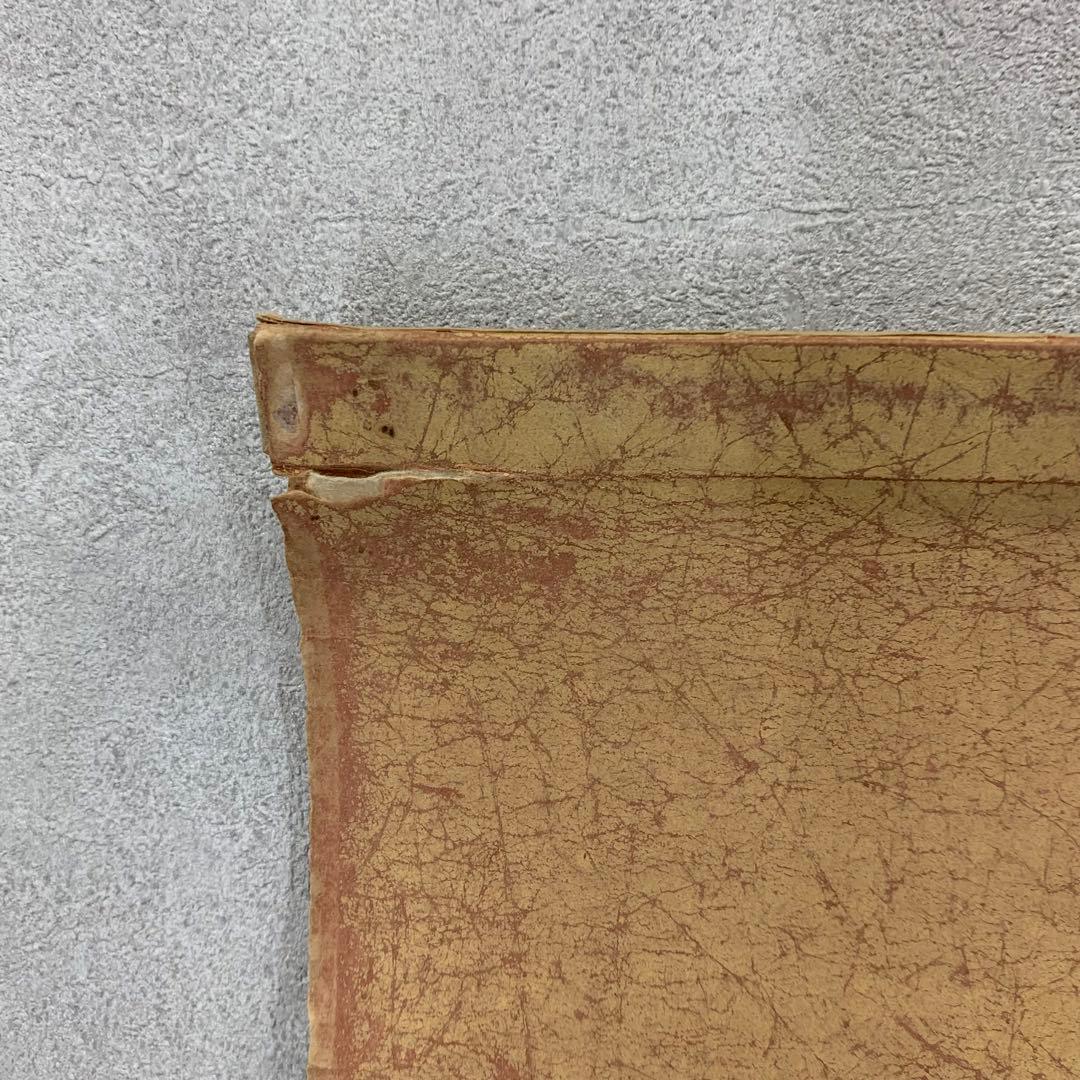 【Koo】掛軸 陶山勝寂 龍 出雲松江藩お抱え絵師 破れあり