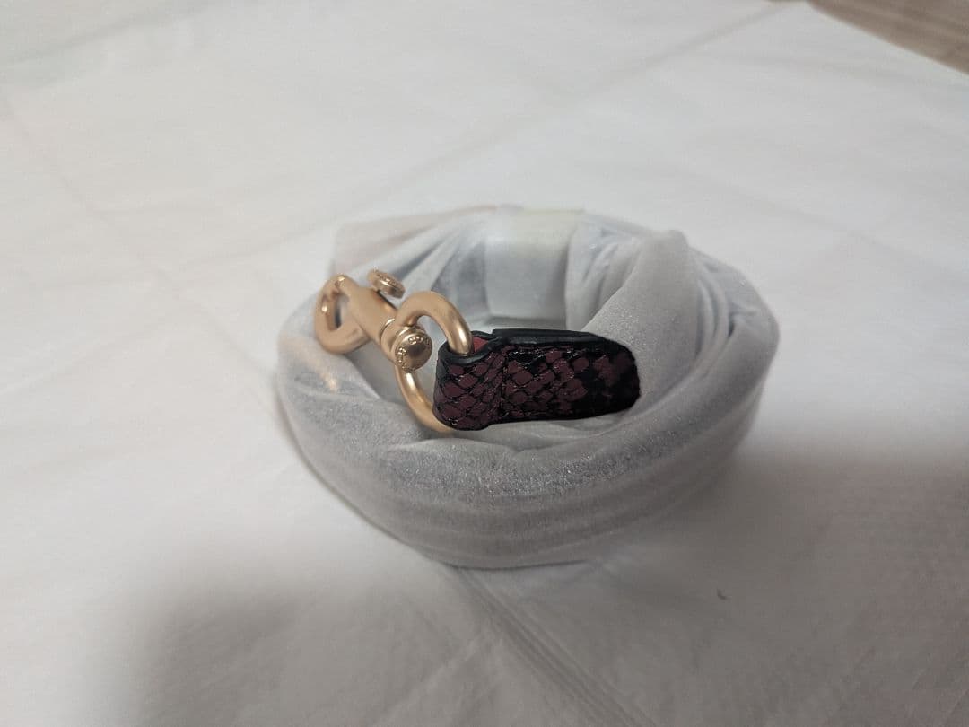 2/4までの特価！新品未使用2way 恐竜ハンドバックバッグプラ袋布袋付