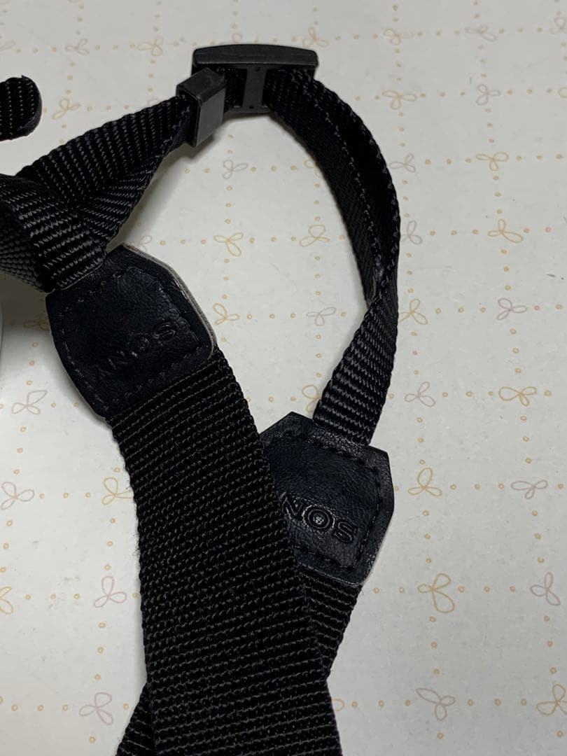 Sony NEX-F3 ミラーレス一眼 レンズ