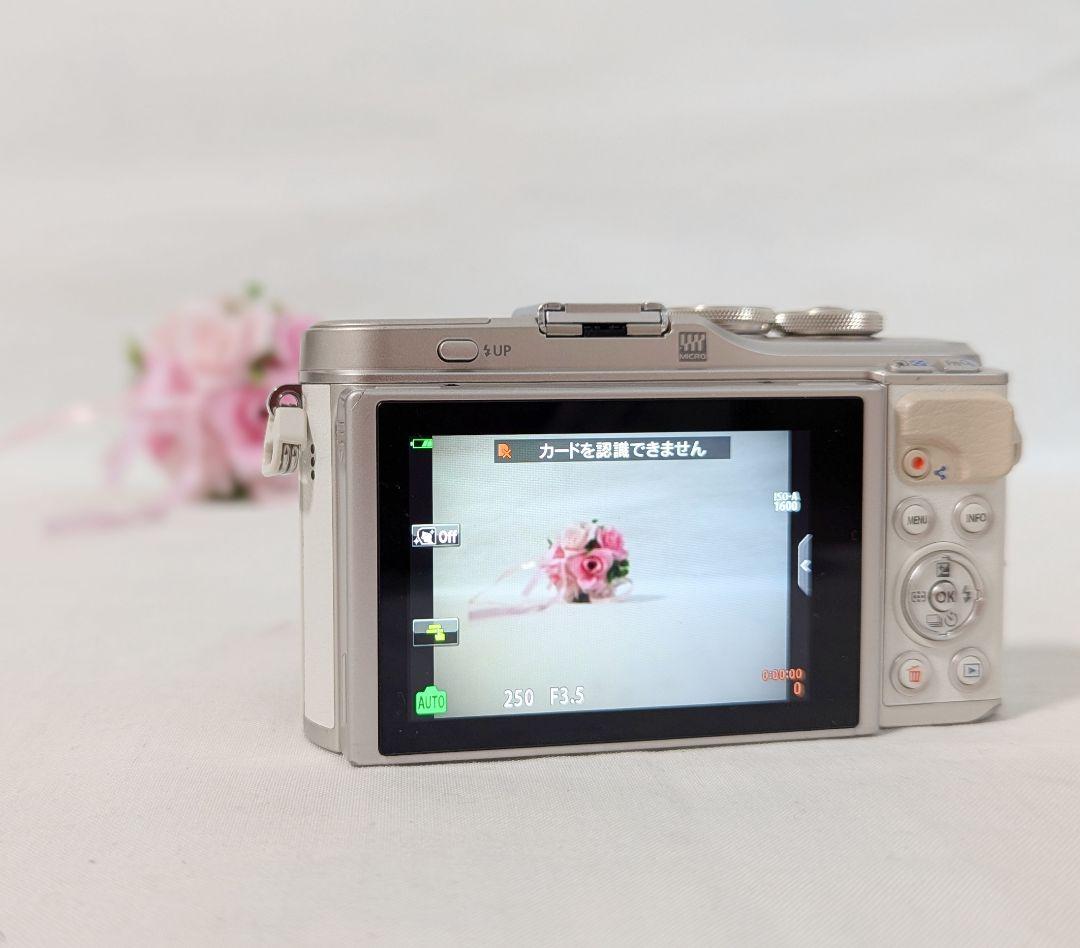 OLYMPUS PEN E-PL9 オリンパス ダブルズームキット