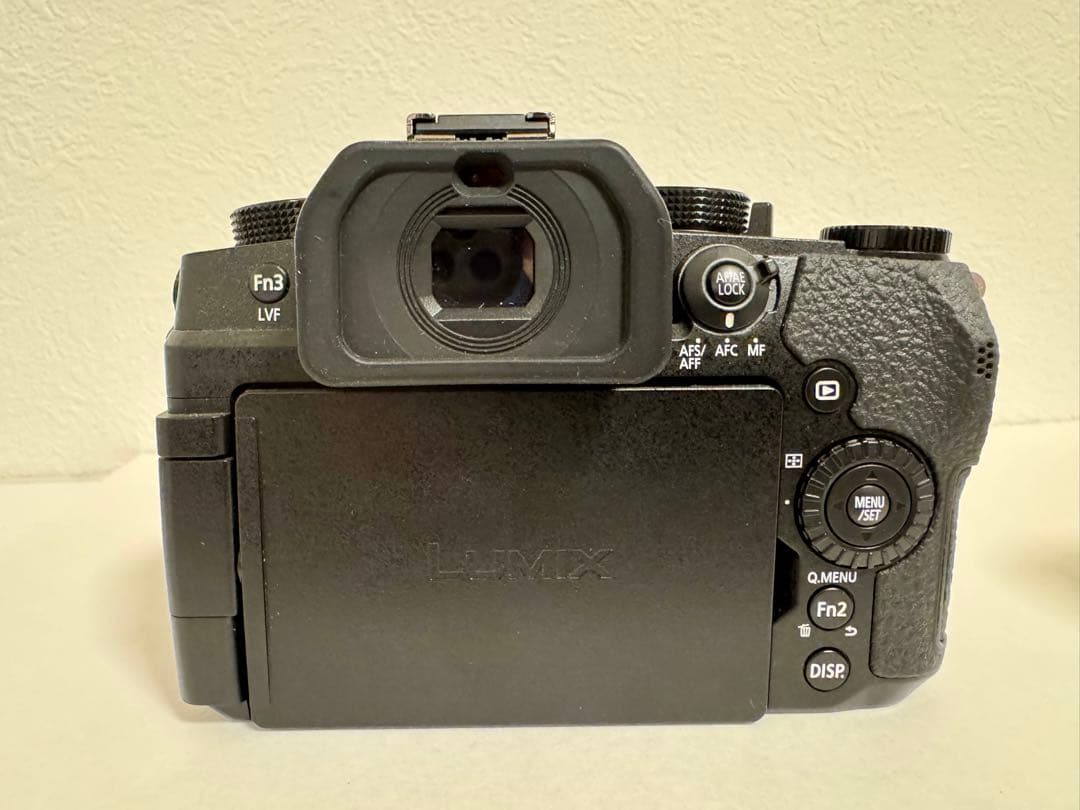 LUMIX Gシリーズ（DC-G99） デジタルカメラ、レンズ2個付