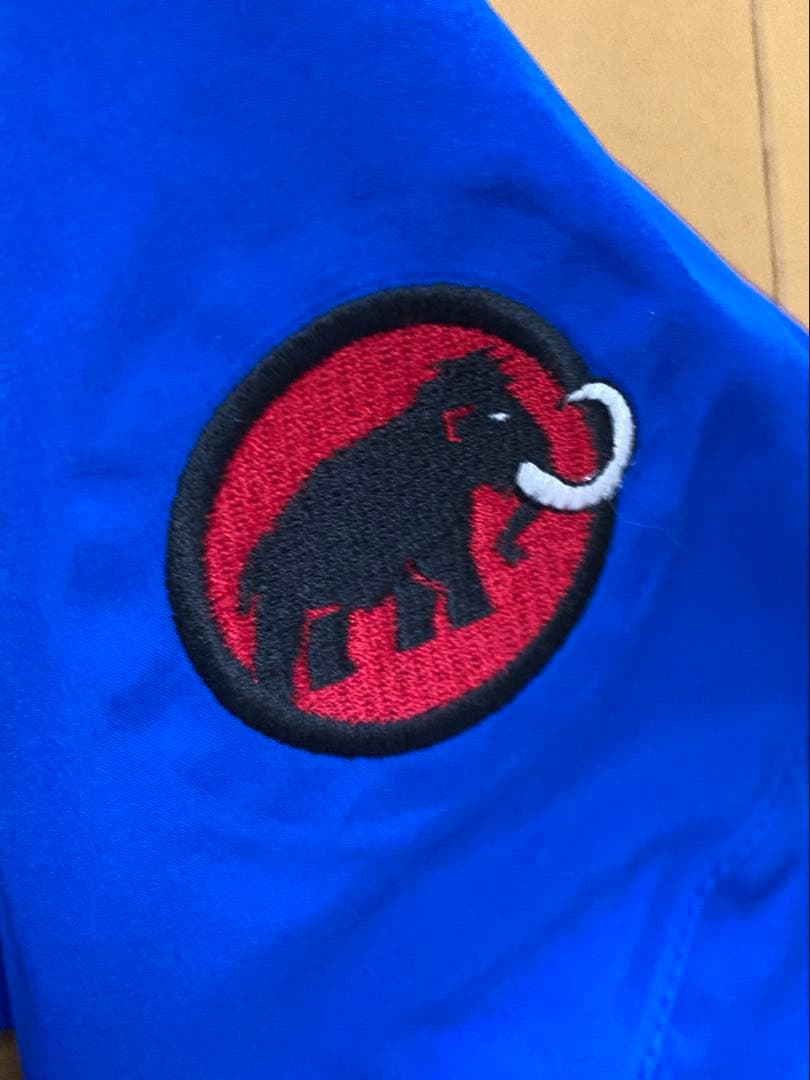 マムート MAMMUT GORE-TEXマウンテンパーカー メンズ