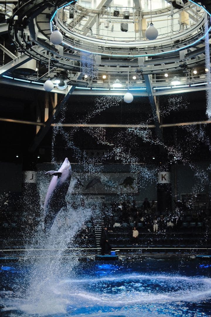 値下げ不可 FUJIFILM X-T30 ３月末まで出品