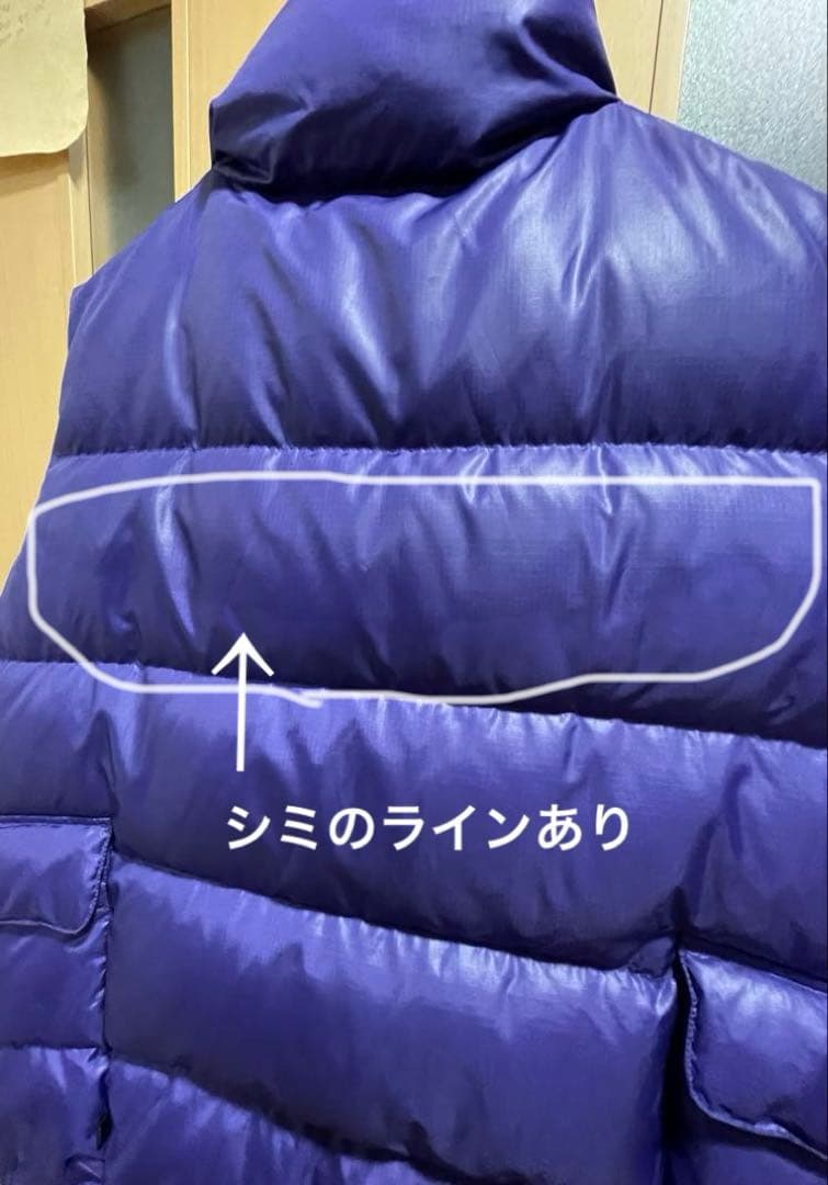 限定値下げ★DAIWA PIER39■テックバックパッカーダウンベスト　パープル