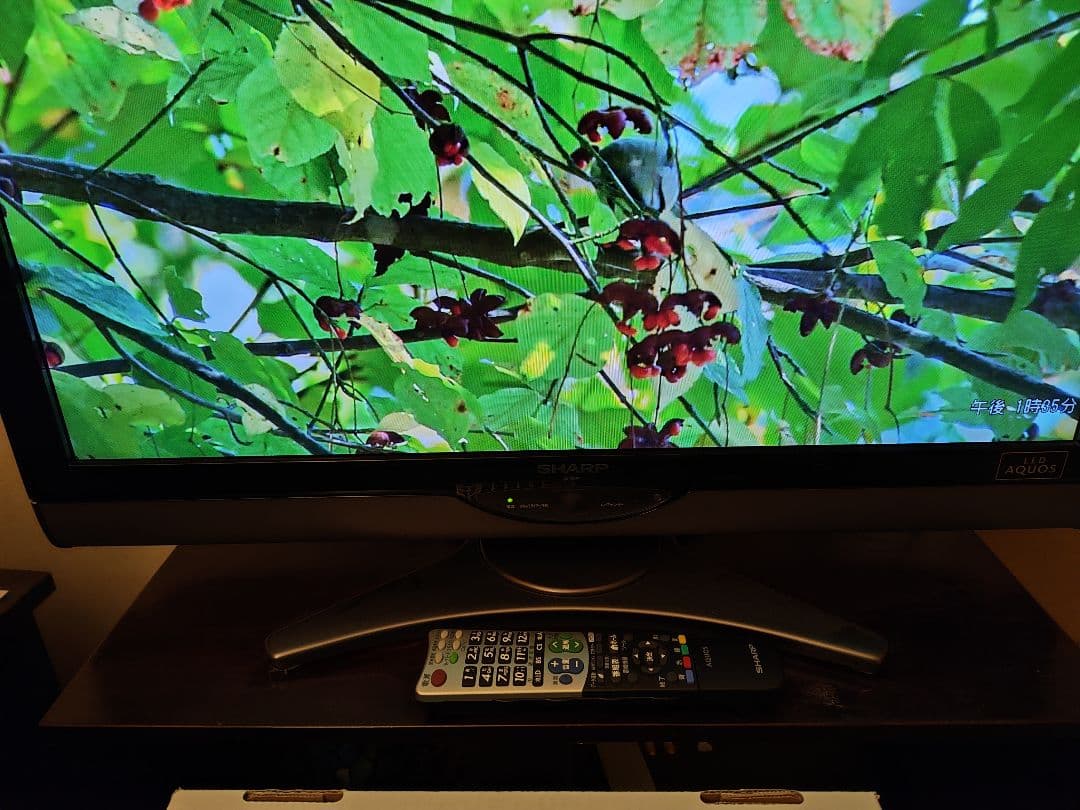 AQUOS 液晶テレビ 32V LC-32SC1 世界の亀山ブランド