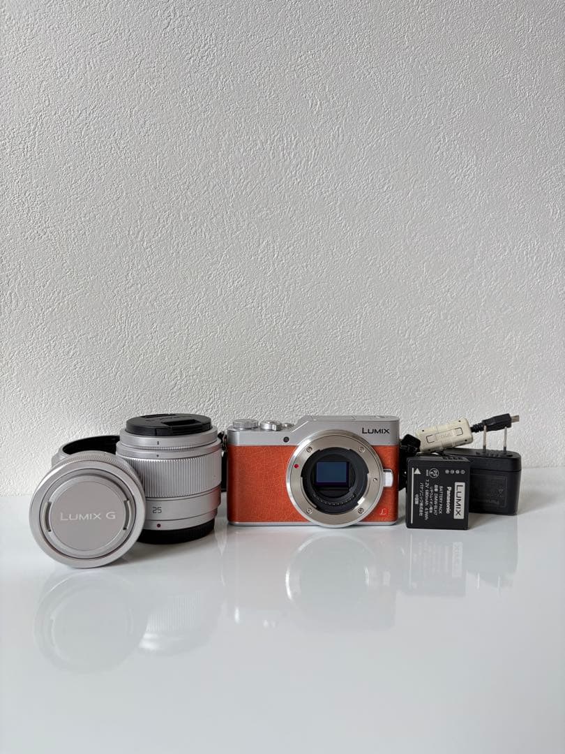 LUMIX ミラーレス一眼 カメラダブルレンズキット DC - GF9W