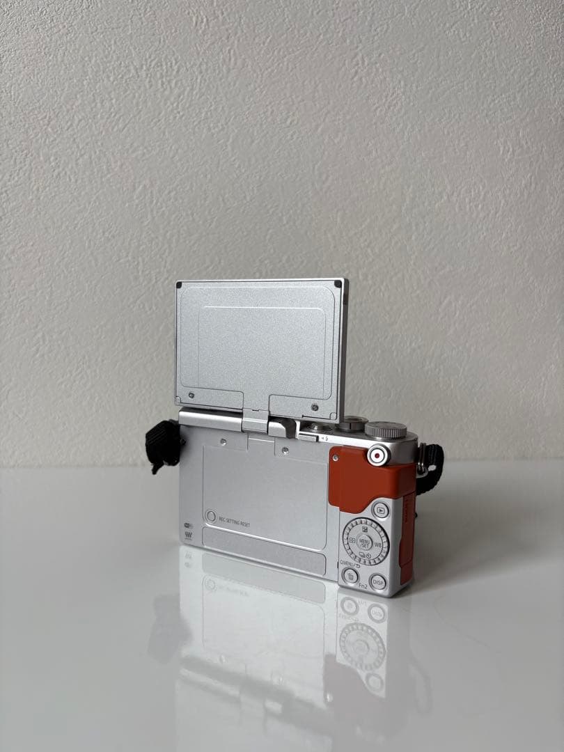 LUMIX ミラーレス一眼 カメラダブルレンズキット DC - GF9W