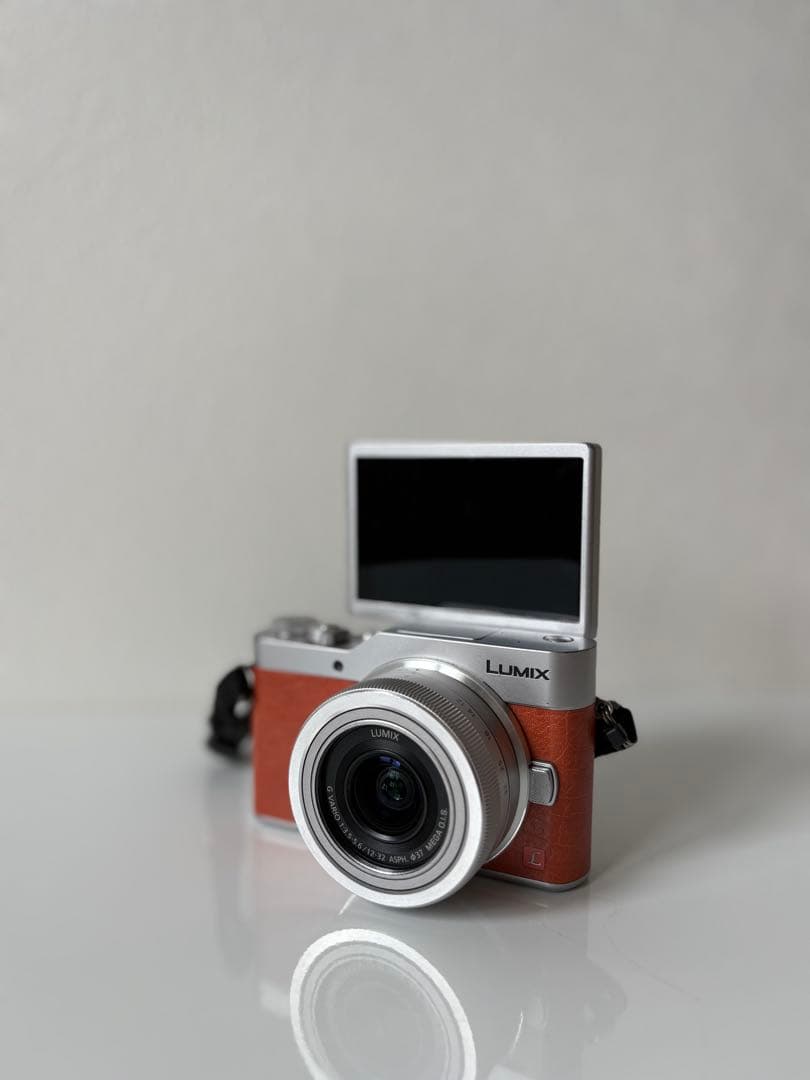 LUMIX ミラーレス一眼 カメラダブルレンズキット DC - GF9W