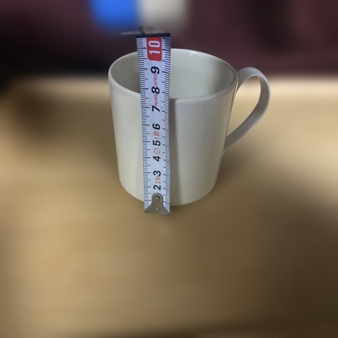 石川隆児　オクトナゴル皿　マグカップ　新品未使用　セット売り