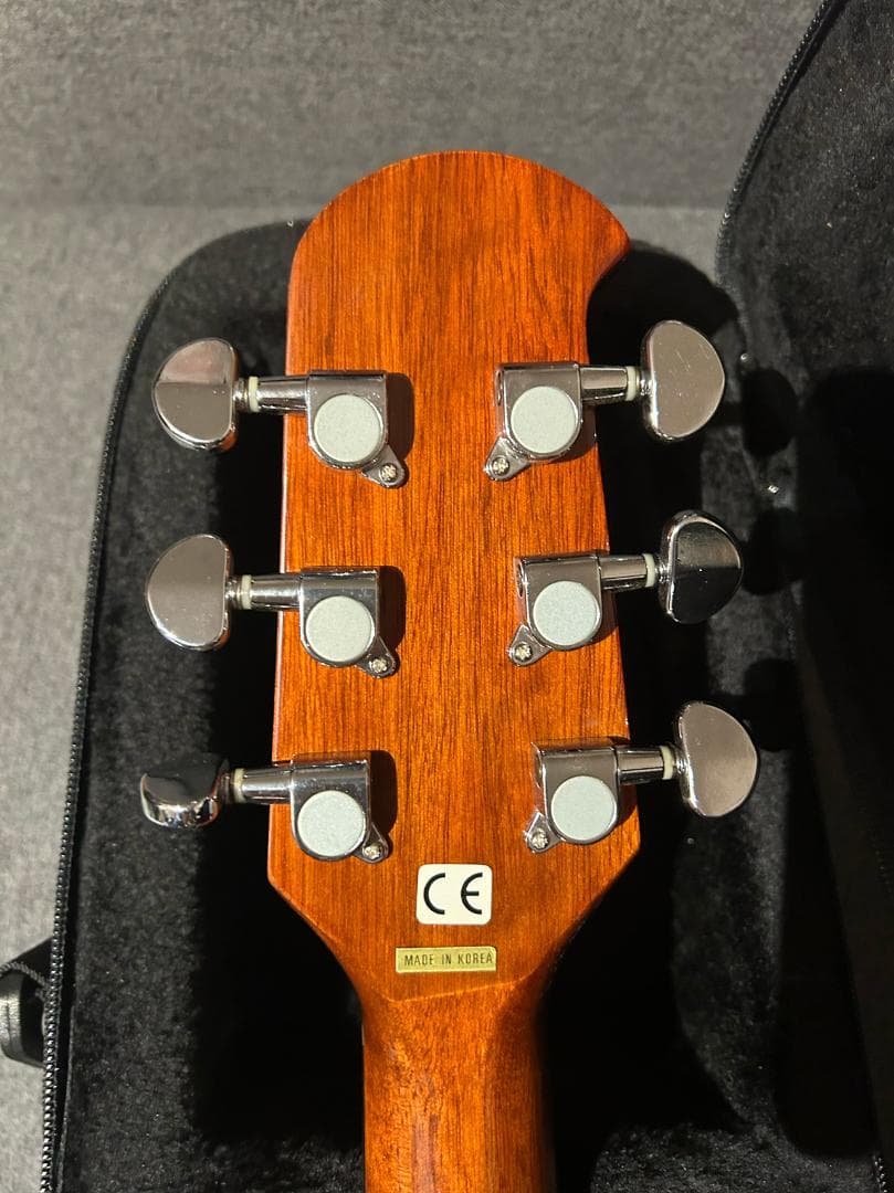 Jay Turser JTA-CRA-6S NG Giannini エレアコ