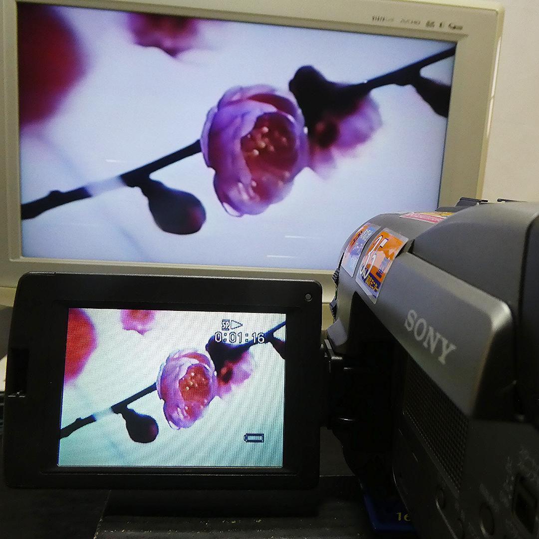 動作良好 ソニー CCD-TRV20 8ミリビデオカメラ DVD化に最適