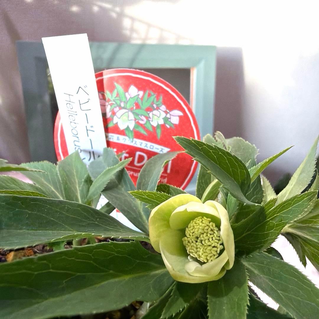 まい様　リクエスト　おまとめ3点