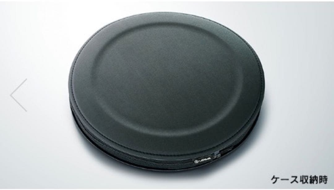 レクサス　サン シェード　10系 GS　日よけ　純正 オプション　専用ケース付き