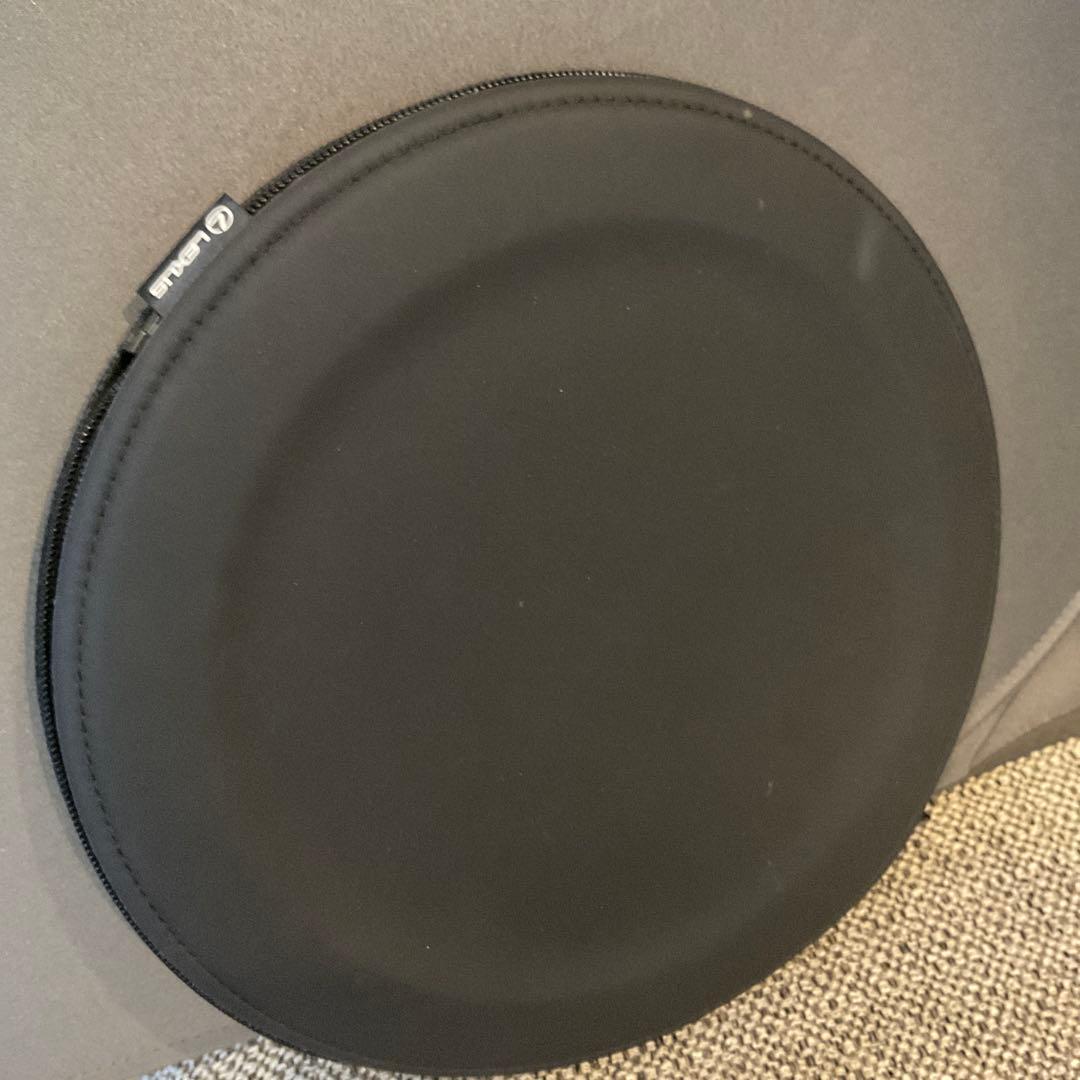 レクサス　サン シェード　10系 GS　日よけ　純正 オプション　専用ケース付き