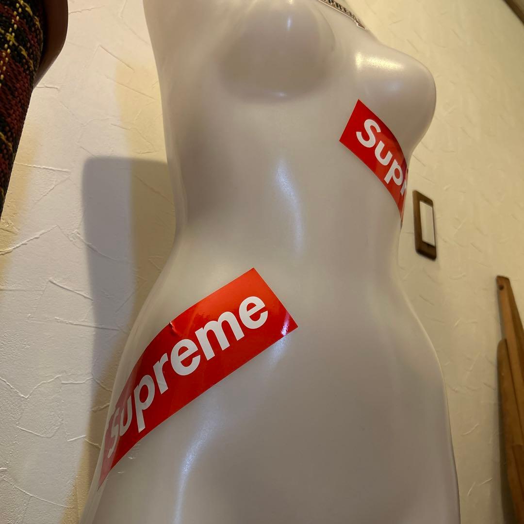 ヴィンテージ 電飾トルソー 照明 マネキン 蚤の市 ライト 店舗什器 シャビー