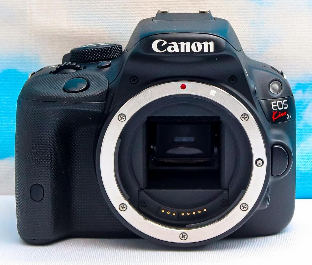 美品 Canon kiss x7⭐️超小型一眼レフ⭐️動画撮影可⭐️スマホに転送