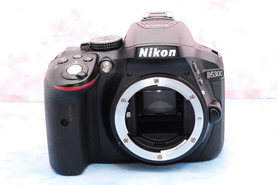☆ニコンD5300☆手ぶれ補正Wレンズ☆Wi-Fi搭載☆一眼レフカメラ