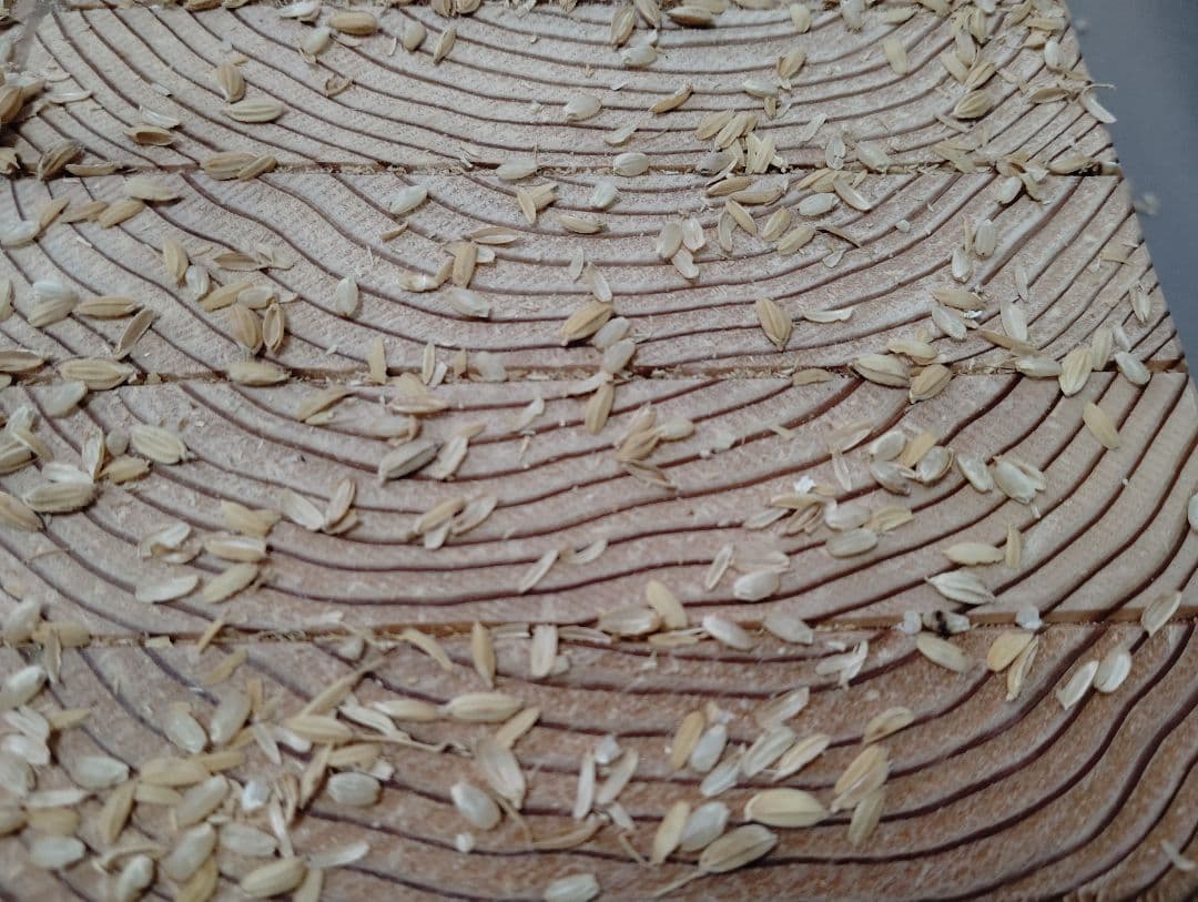 籾摺り機(大型)