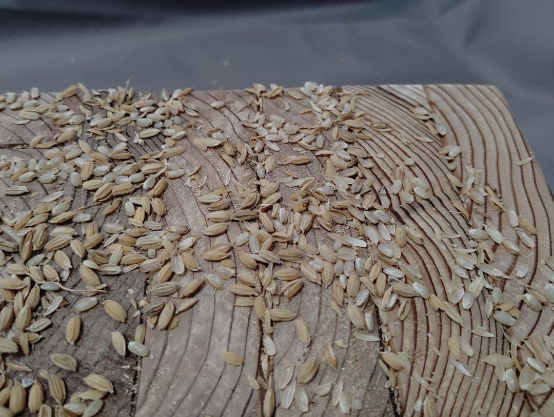 籾摺り機(大型)