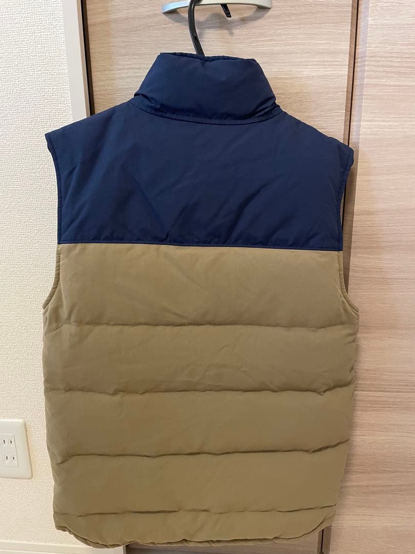 Patagonia リバーシブルダウンベスト