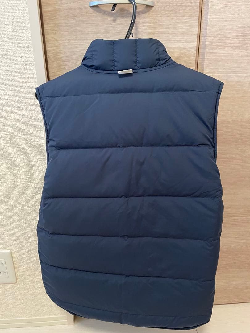 Patagonia リバーシブルダウンベスト