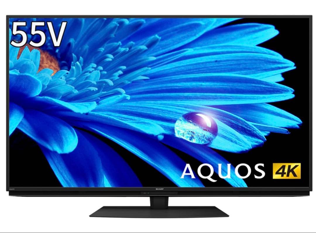 SHARP 55V 4K液晶テレビ 4T-C55DN1