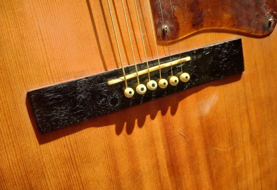 ビンテージ！ L-00タイプ PU付きエレアコ G社ロゴシール２枚付き