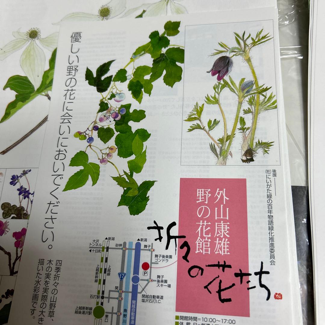 値下げ　　水彩画 木製フレーム付き　 外山康雄　原画　越の小貝母 名刺