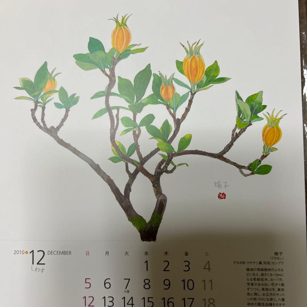 値下げ　　水彩画 木製フレーム付き　 外山康雄　原画　越の小貝母 名刺