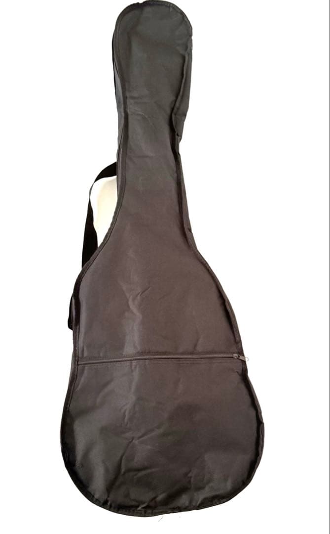 【美品】 Aria TA-CLASSIC セミアコ セミアコースティックギター