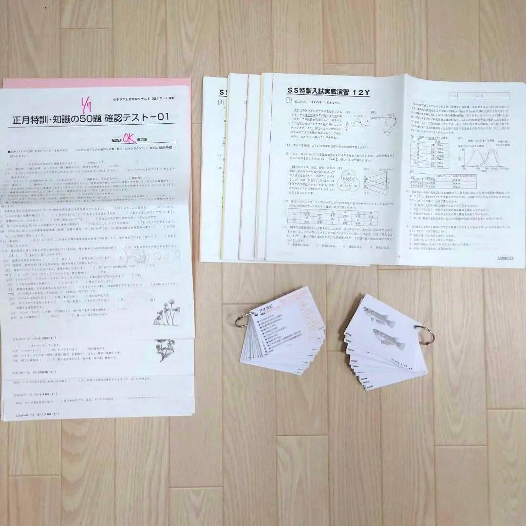 2024年受験　SAPIX サピックス 6年生 テキスト 理科 1年分他