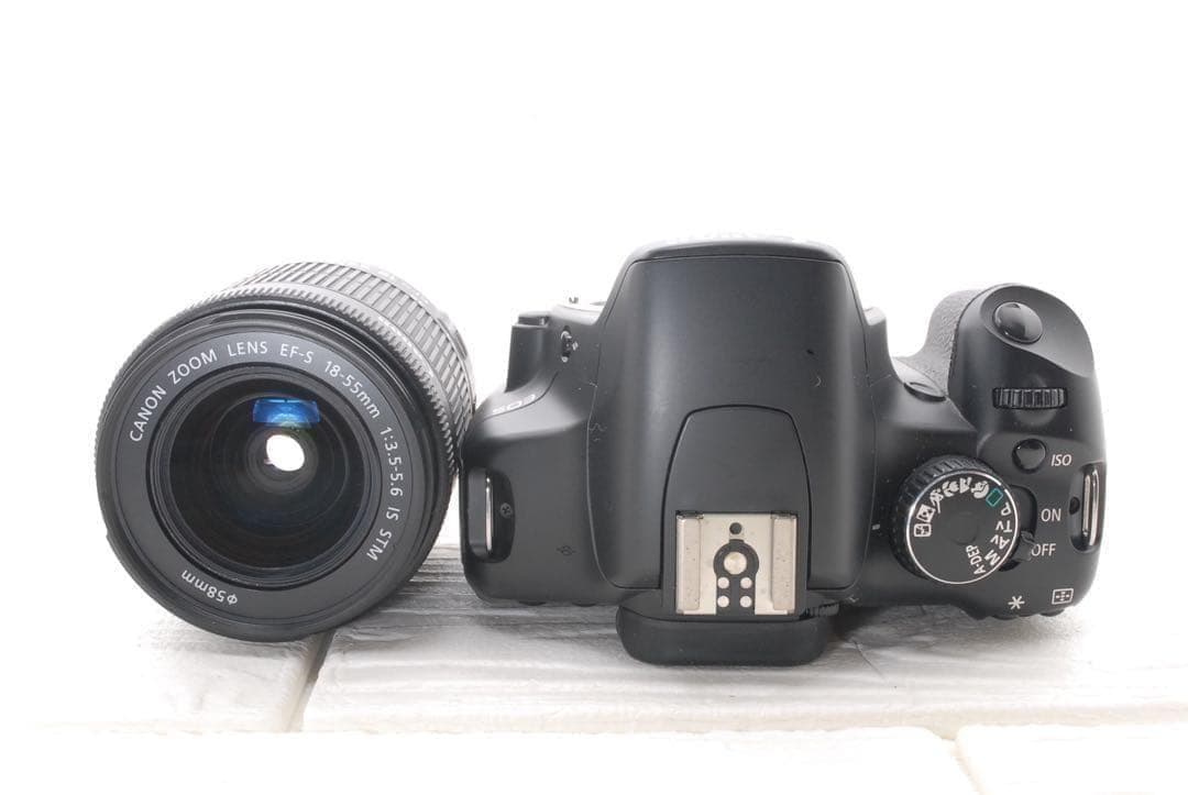 ショット3437枚✨ Canon kiss X2 レンズセット 初心者 入門機