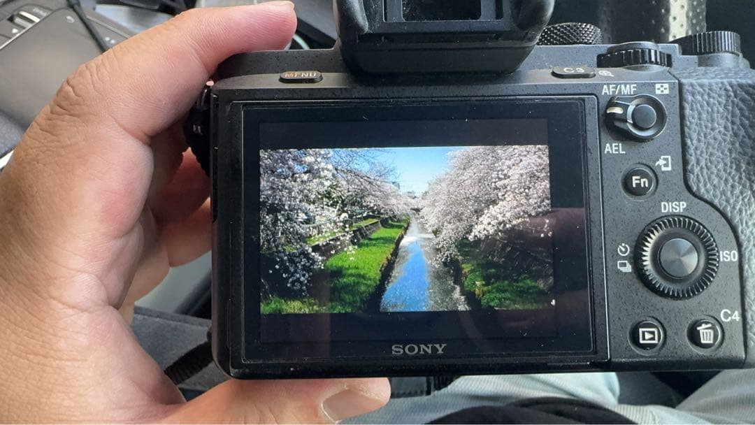 【美品】SONY α7 II ミラーレス一眼カメラ（バディーのみ)