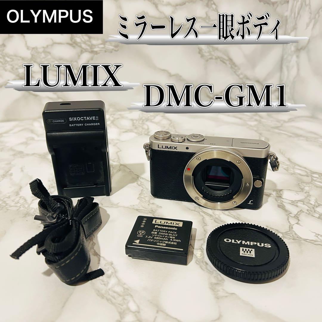 Panasonic デジタル一眼カメラ LUMIX DMC-GM1 ボディ