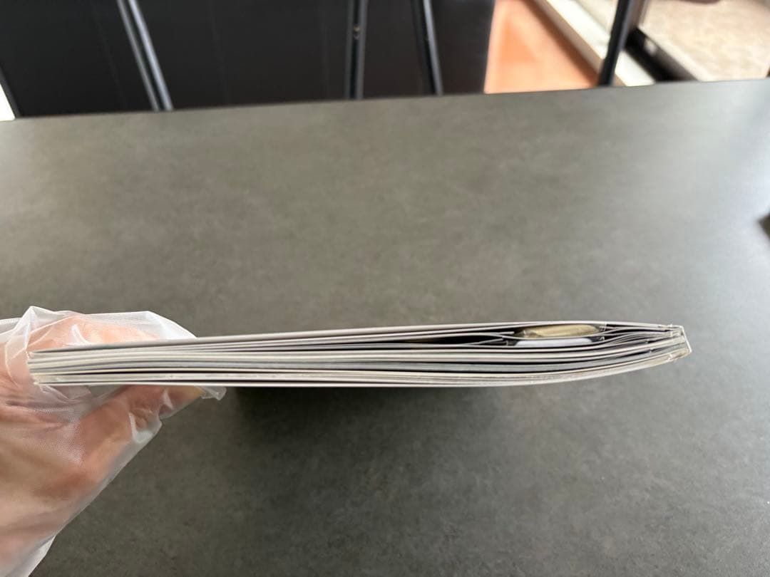 超激レアレディーガガ The fame monster完全限定10000枚