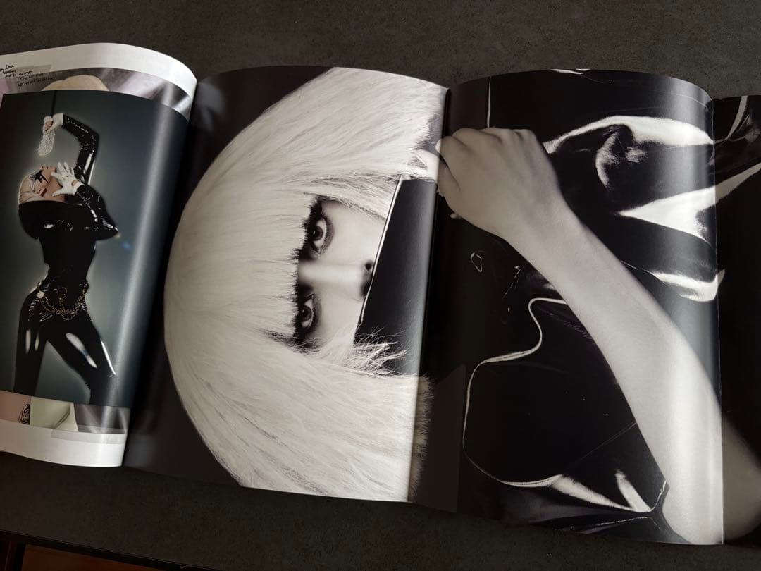 超激レアレディーガガ The fame monster完全限定10000枚