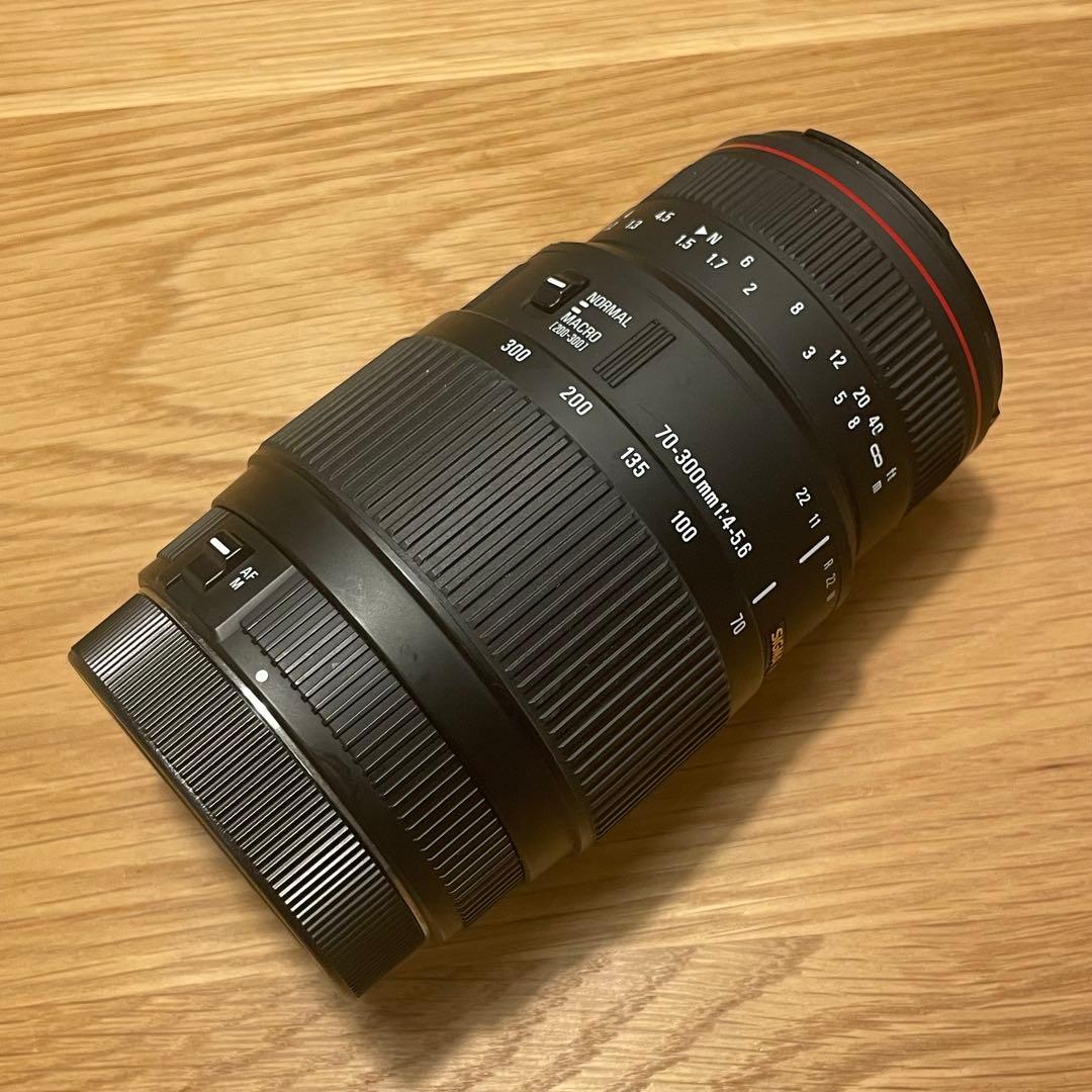 SIGMA シグマ 70-300mm APO DG キヤノン用
