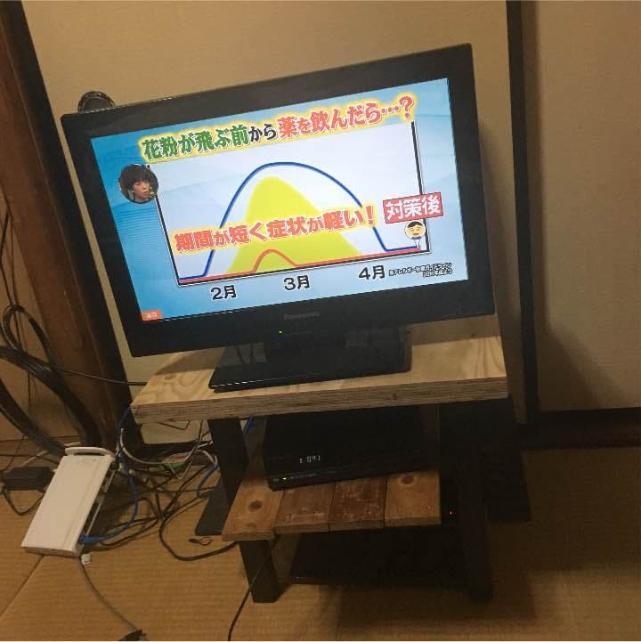 テレビ TV