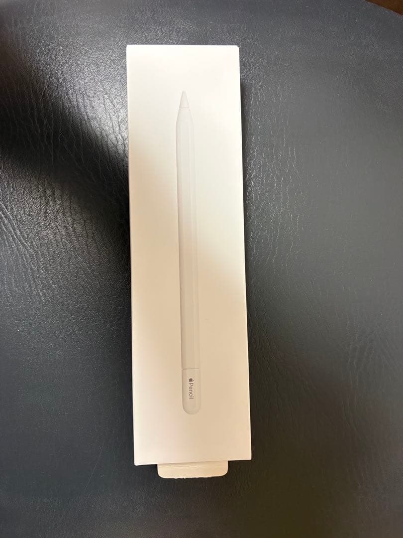 Apple Pencil ホワイト(USB Cタイプ)