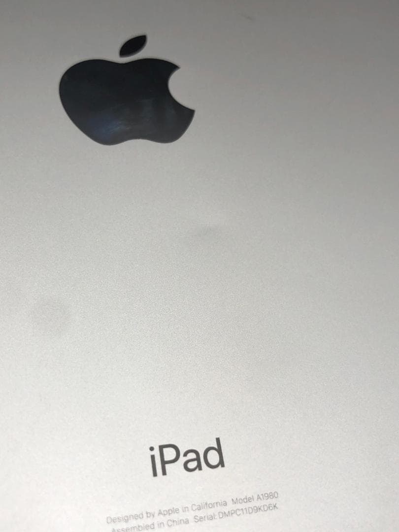 動作OK Apple iPad Pro 11インチ 64GB MTXP2J/A