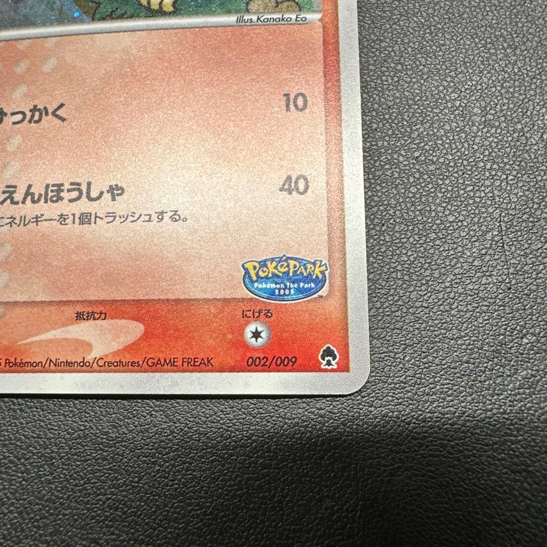 ポケパークのアチャモ ポケパークプレミアムファイル 002/009